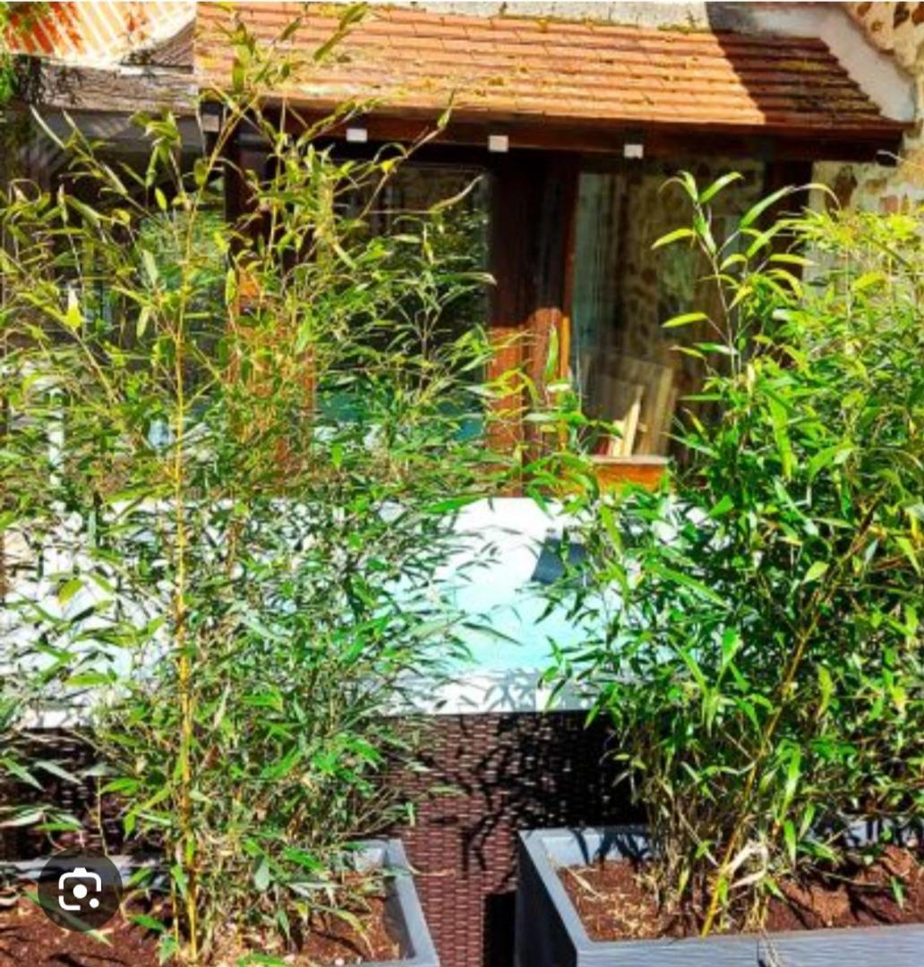 Les 3 Roses Bed & Breakfast Anjouin Exterior foto